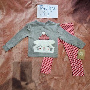Toddler Girls 3T Kitty Cat Faux Fur Pocket Top & Leggings 2 Piece Set NWT